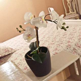 B&B Casa Chiara Parma Suite Sole